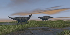 Shuangmiaosaurus dinosaurs walking through wetlands Shuangmiaosaurus dinosaurs walking through wetlands