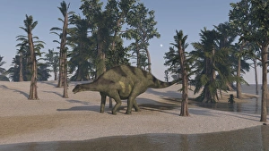 Two Shuangmiaosaurus walking along the shoreline Two Shuangmiaosaurus walking along the shoreline
