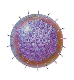 <b class=qtipBold><figcaption>Single virus particle</figcaption></b><br>Single virus particle.<br><em>© TriFocal Communications/Stocktrek Images</em> Single virus particle