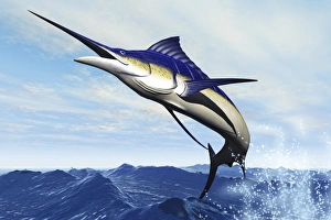 A sleek blue marlin bursts from the ocean surface in a grand leap A sleek blue marlin bursts from the ocean surface in a grand leap