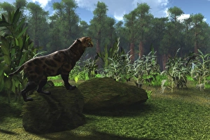 A Smilodon cat roars to warn other males to leave his territory A Smilodon cat roars to warn other males to leave his territory