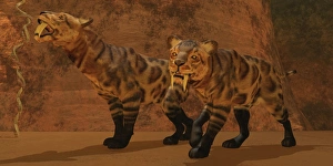 Two Smilodon cats find protection in a vast cave system Two Smilodon cats find protection in a vast cave system