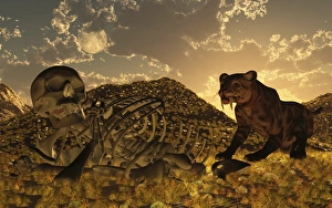 A Smilodon saber-toothed cat discovers human remains A Smilodon saber-toothed cat discovers human remains