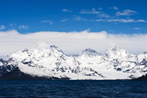 <b class=qtipBold><figcaption>South Georgia landscape</figcaption></b><br>South Georgia landscape.<br><em>© Steve Jones/Stocktrek Images</em> South Georgia landscape