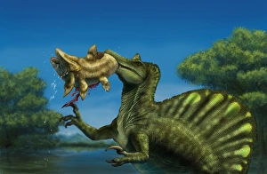 A Spinosaurus dinosaur fishing Mawsonias in a mangrove A Spinosaurus dinosaur fishing Mawsonias in a mangrove