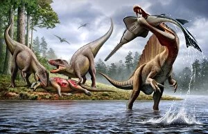 Elasmobranch Gallery: Spinosaurus hunting an Onchopristis with a pair of Carcharodontosaurus in background