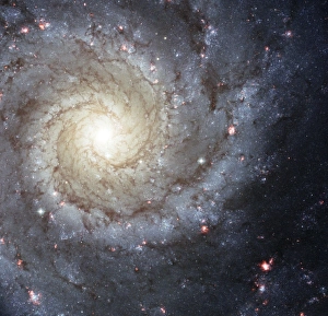 Spiral galaxy M74 Spiral galaxy M74