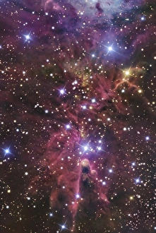 A stellar nursery located towards the constellation of Monoceros A stellar nursery located towards the constellation of Monoceros
