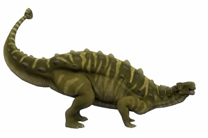 <b class=qtipBold><figcaption>Talarurus dinosaur, side profile</figcaption></b><br>Talarurus dinosaur, side profile. Talarurus was a herbivorous armored dinosaur that lived in the Cretaceous Period of Mongolia.<br><em>© Corey Ford/Stocktrek Images</em> Talarurus dinosaur, side profile
