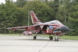 A Tornado ECR of the German Air Force with special paint scheme A Tornado ECR of the German Air Force with special paint scheme