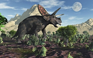A Torosaurus dinosaur during Earths Cretaceous period A Torosaurus dinosaur during Earths Cretaceous period