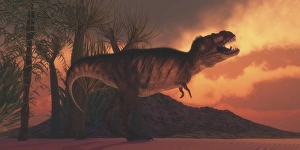 A Tyrannosaurus rex dinosaur roars to claim his territory