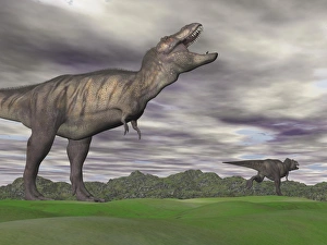 Tyrannosaurus Rex growling as a fellow T-Rex runs away
