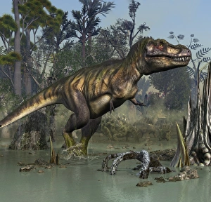 Tyrannosaurus rex hunting in prehistoric wetlands Tyrannosaurus rex hunting in prehistoric wetlands