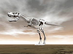 <b class=qtipBold><figcaption>Tyrannosaurus rex skeleton</figcaption></b><br>Tyrannosaurus rex skeleton.<br><em>© Elena Duvernay/Stocktrek Images</em> Tyrannosaurus rex skeleton