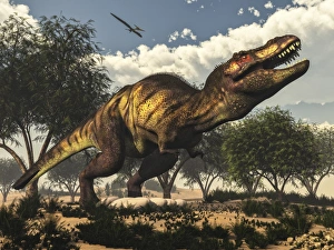 Tyrannosaurus rex standing upon its eggs to protect them Tyrannosaurus rex standing upon its eggs to protect them