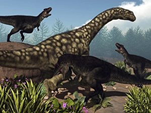 Three Tyrannotitans attacking an Argentinosaurus dinosaur Three Tyrannotitans attacking an Argentinosaurus dinosaur
