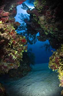 Underwater crevice through a coral reef, Belize Underwater crevice through a coral reef, Belize