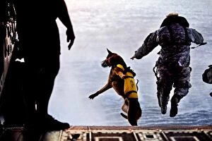 Life Jackets Gallery: A U.S. Soldier and his military working dog jump off the ramp of a CH-47 Chinook