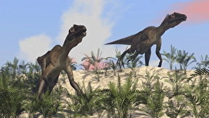 <b class=qtipBold><figcaption>Two Utahraptors in an arid climate</figcaption></b><br>Two Utahraptors in an arid climate.<br><em>© Kostyantyn Ivanyshen/Stocktrek Images</em> Two Utahraptors in an arid climate