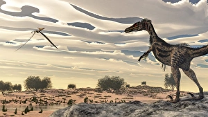 Velociraptor dinosaur observing a pteranodon flying over the desert Velociraptor dinosaur observing a pteranodon flying over the desert
