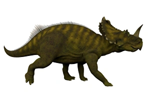 <b class=qtipBold><figcaption>Side view of a Centrosaurus dinosaur</figcaption></b><br>Side view of a Centrosaurus dinosaur. Centrosaurus was a herbivorous ceratopsian dinosaur that lived in Canada during the Cretaceous Period.<br><em>© Corey Ford/Stocktrek Images</em> Side view of a Centrosaurus dinosaur