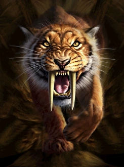 S Gallery: Sabertooth Collection