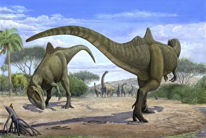 The wedding ceremony between two Concatenator corcovatus dinosaurs The wedding ceremony between two Concatenator corcovatus dinosaurs