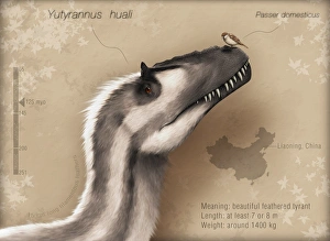 Yutyrannus huali is a feathered tyrannosauroid from the Early Cretacous of China Yutyrannus huali is a feathered tyrannosauroid from the Early Cretacous of China