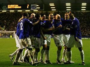 Images Dated 5th November 2007: Everton v Birmingham