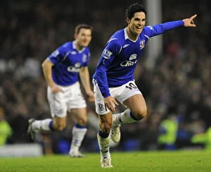 Images Dated 10th January 2009: Football - Everton v Hull City - Barclays Premier League