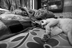 Similarity Gallery: Being together