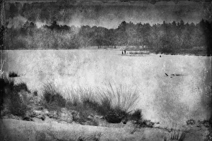 Images Dated 27th January 2019: Together alone