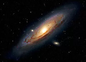 Cosmos Gallery: The Andromeda Galaxy
