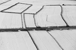 Images Dated 3rd January 2016: B U C O V I N A