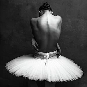 Contemporary Gallery: ballerinas back 2