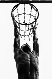 Contest Gallery: Basket street