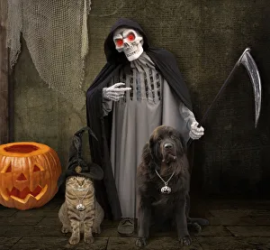 Medallion Gallery: Keep calm! Halloween is coming soon