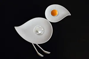 Images Dated 27th January 2019: The chicken or the egg?