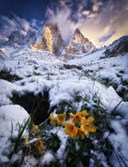 Kavkaz Gallery: Early morning just after sunrise