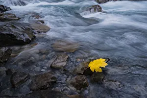 Images Dated 3rd October 2019: Fall is here