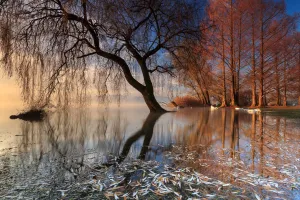Images Dated 7th December 2019: the first light
