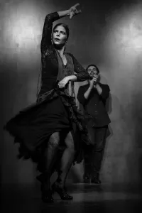 Clapping Gallery: Flamenco Dancer