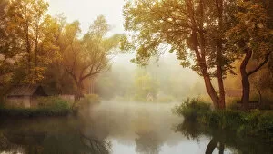 Dreamlike Gallery: Foggy Autumn