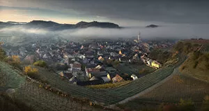 Winery Gallery: Foggy Kaiserstuhl