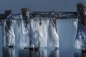 Images Dated 20th January 2016: Frozen Solid