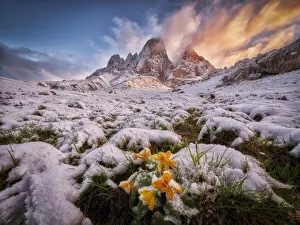 Kavkaz Gallery: Frozen Sunrise