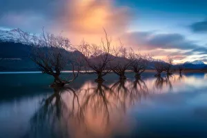 Glenorchy Gallery: Glenorchy Dawn