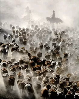 The Great Migration of China