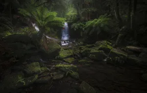 Images Dated 15th January 2019: Horseshoe Falls